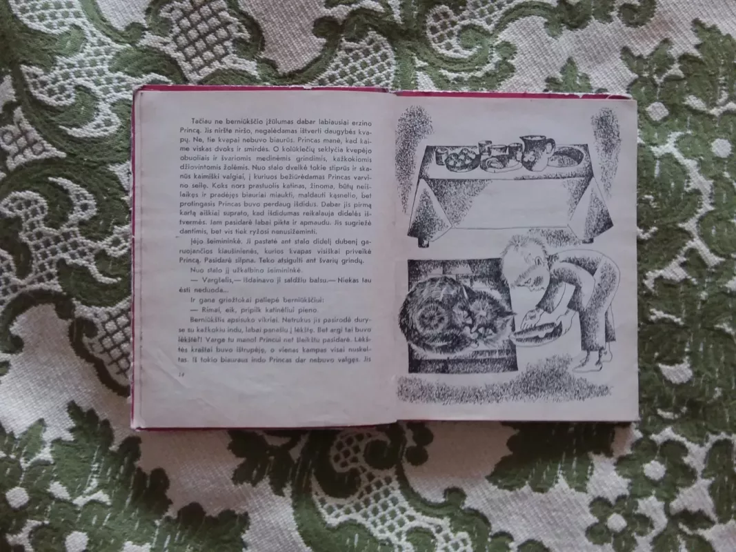 Protingojo princo klajonės - Antanas A. Jonynas, knyga 3