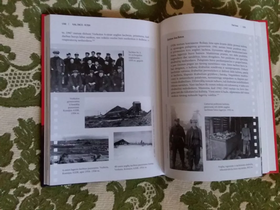 Kalinio riba - Goda Krukauskienė, Paulius Saudargas, knyga 3