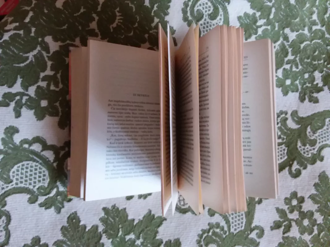 Husaras ant stogo - Jean Giono, knyga 3