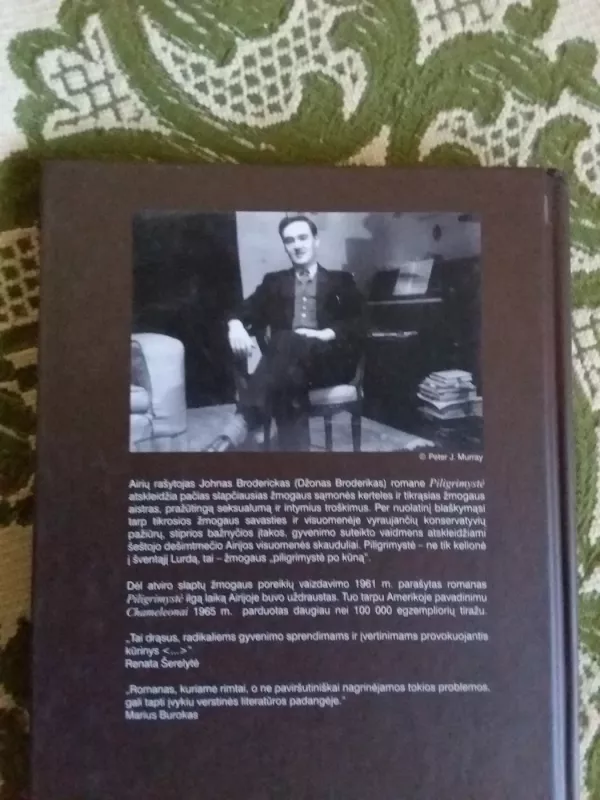 Piligrimystė - John Broderick, knyga 4