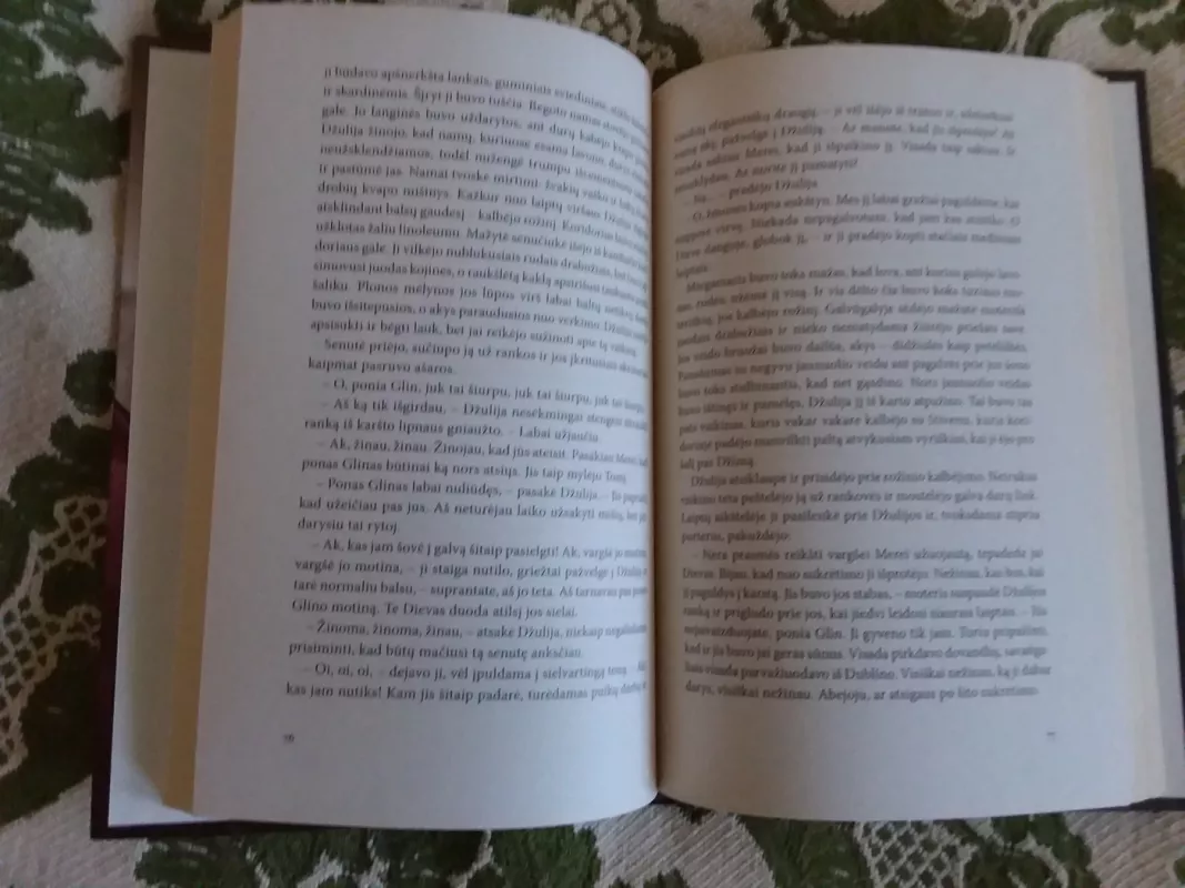 Piligrimystė - John Broderick, knyga 3