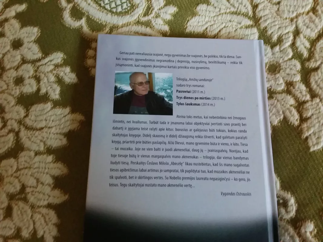 Tylus šauksmas - Vygandas Ostrauskis, knyga 4