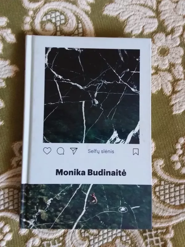 Selfų slėnis - Monika Budinaitė, knyga 2