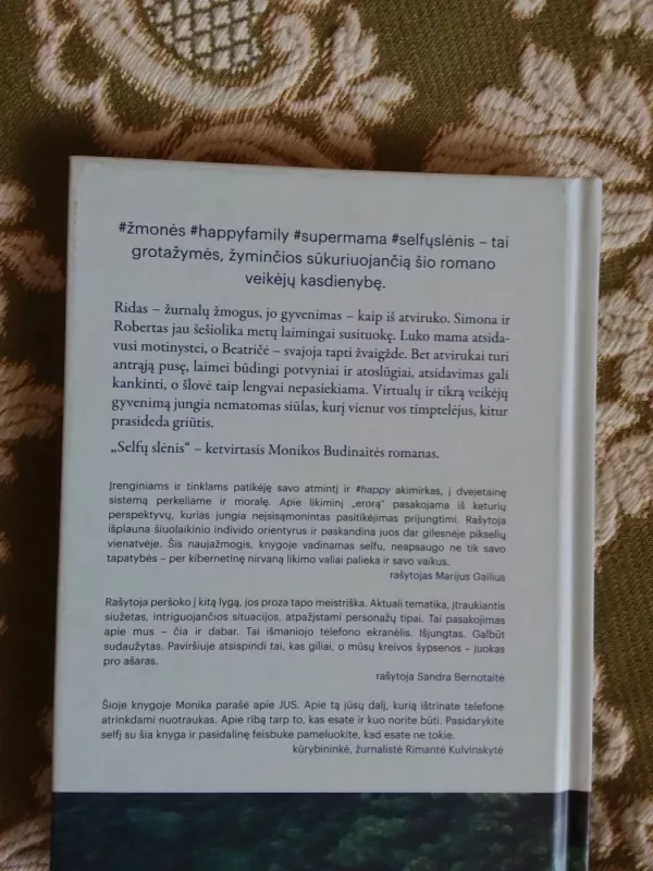 Selfų slėnis - Monika Budinaitė, knyga 4