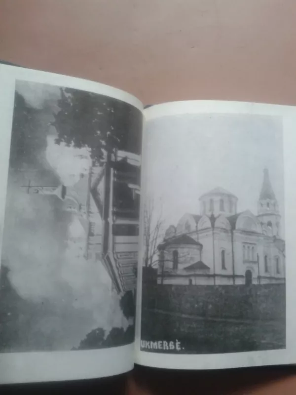 Ukmergės ir apylinkių praeities apžvalga nuo seniausių laikų iki 1940 - Stasys Gelūnas, knyga 5