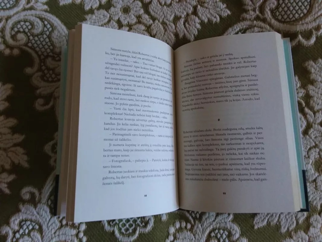 Selfų slėnis - Monika Budinaitė, knyga 3