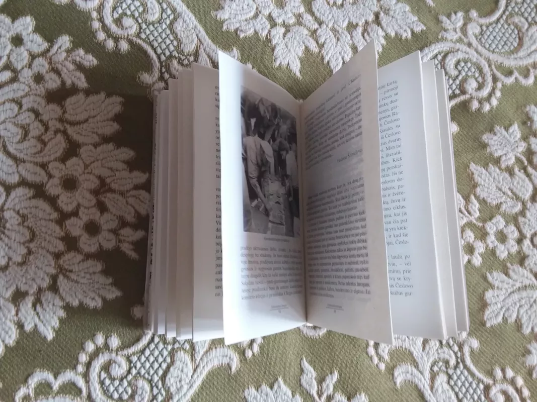 Profesorius Česlovas Kudaba - Rimantas Krupickas, knyga 3