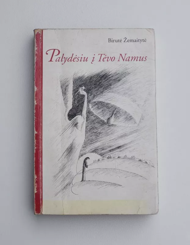 Palydėsiu į tėvo namus - Birutė Žemaitytė, knyga 2