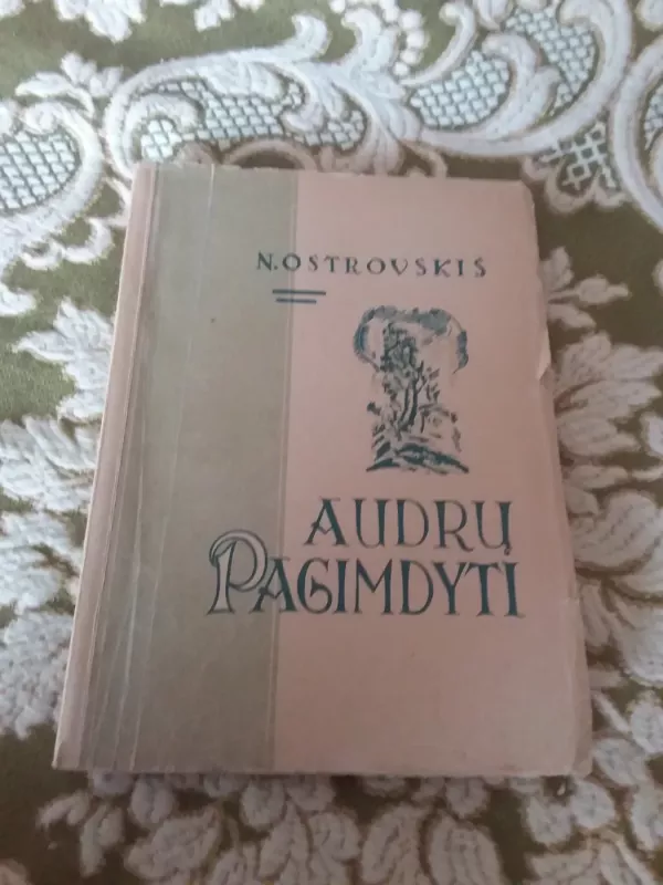 Audrų pagimdyti - Nikolajus Ostrovskis, knyga