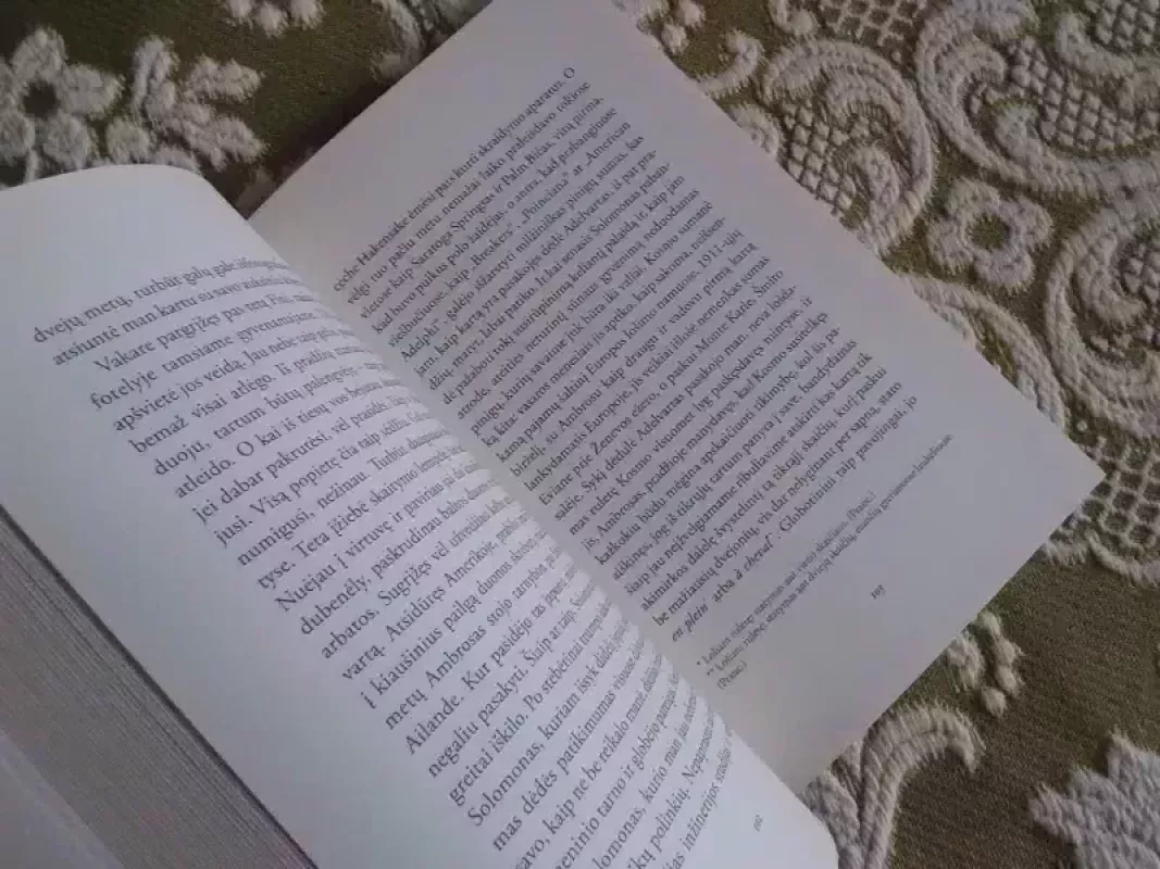 Išeiviai - W.G. Sebald, knyga 3