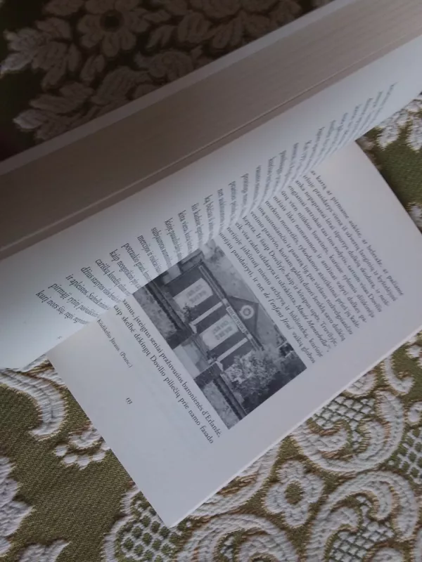 Išeiviai - W.G. Sebald, knyga 4