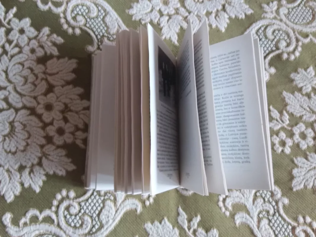 Profesorius Česlovas Kudaba - Rimantas Krupickas, knyga 4