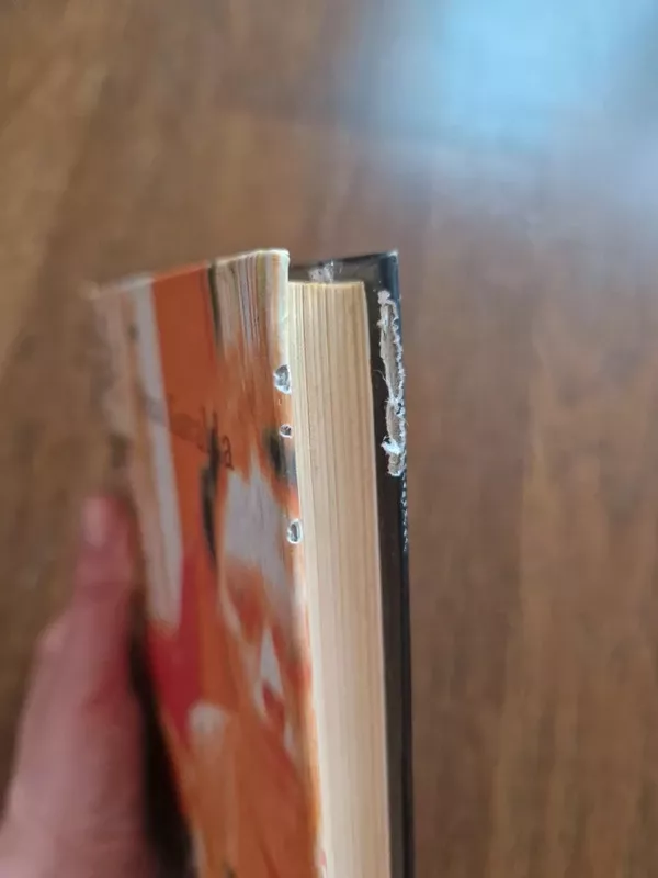 Aš mylėjau - Anna Gavalda, knyga 3