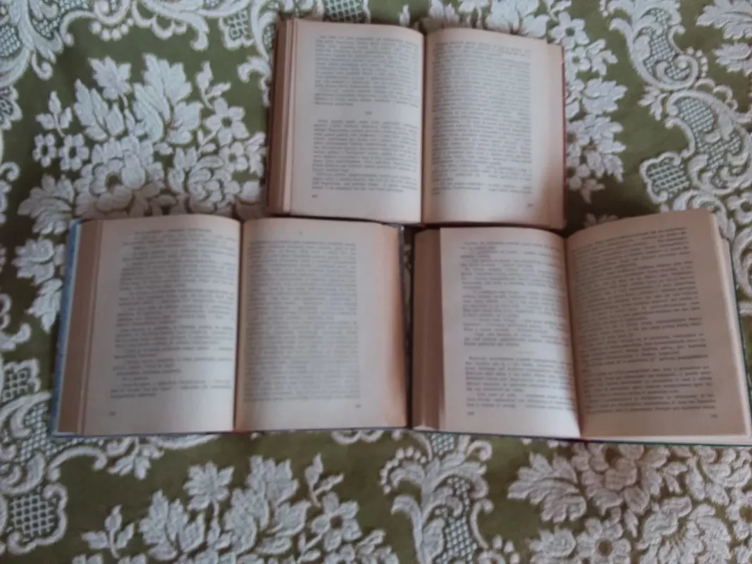 KARAS IR TAIKA I-II-III dalys - Levas Tolstojus, knyga 3