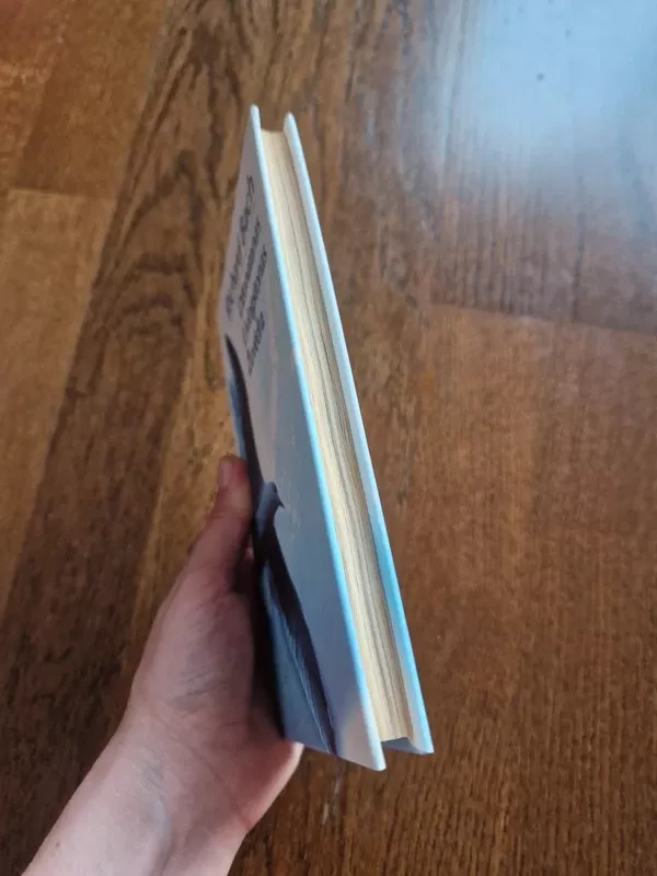 Džonatanas Livingtonas Žuvėdra - Richard Bach, knyga 3