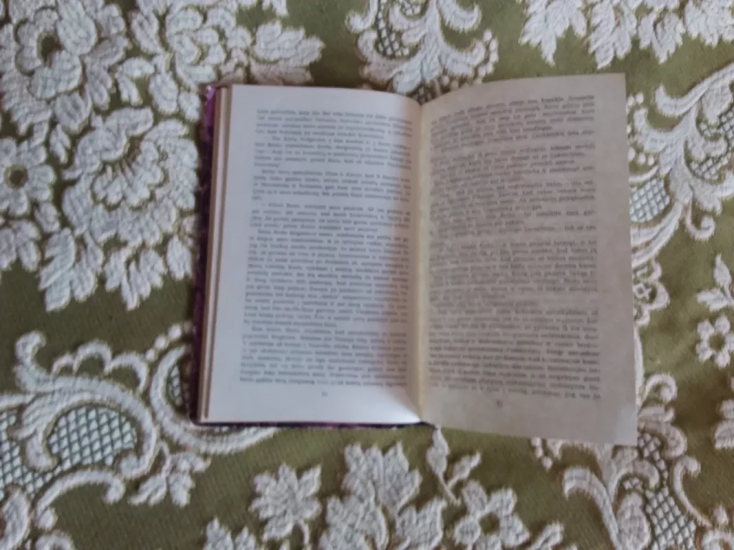 Dievai trokšta - Anatolis Fransas, knyga 4