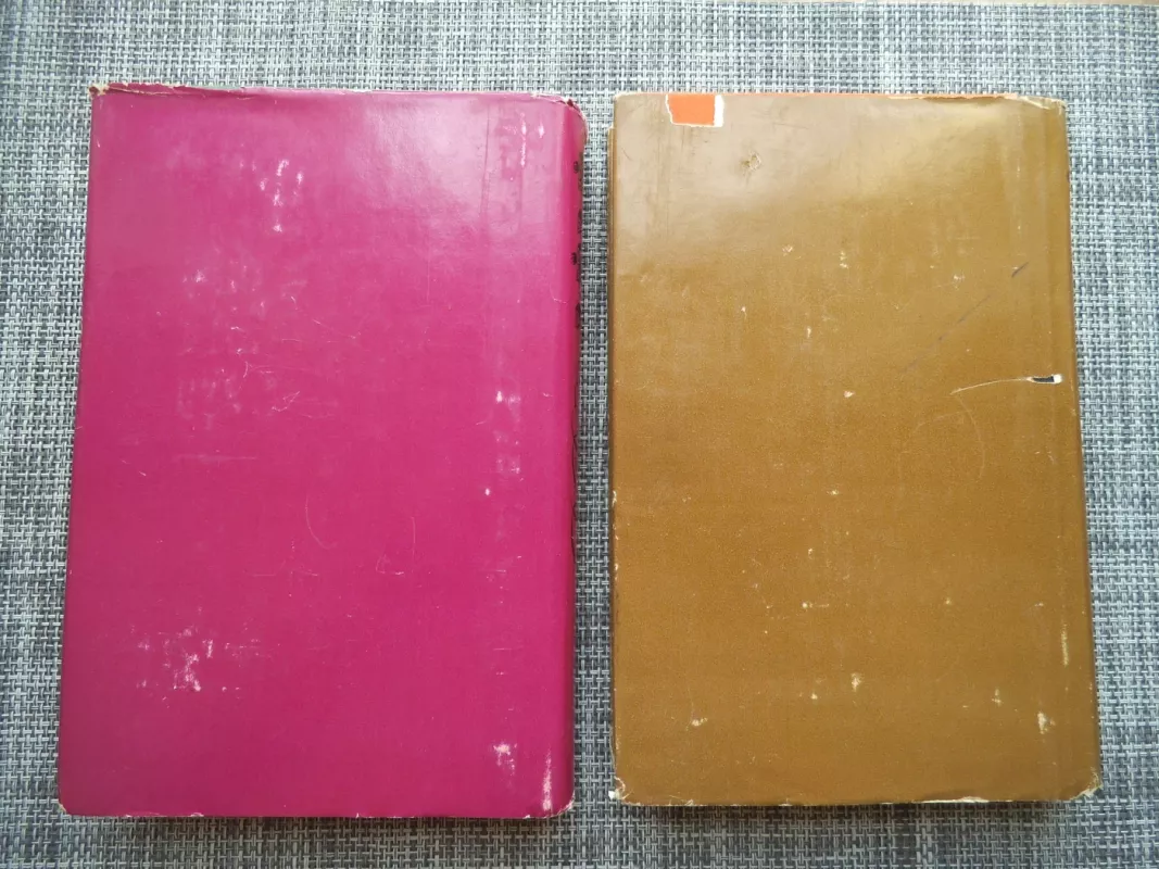 Lėlė (2 tomai) - Boleslovas Prūsas, knyga 3