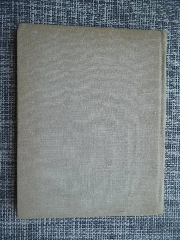 Lietuviškas šiupinys - Stanislovas Dagilis, knyga 3