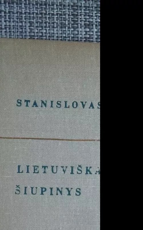 Lietuviškas šiupinys - Stanislovas Dagilis, knyga 2