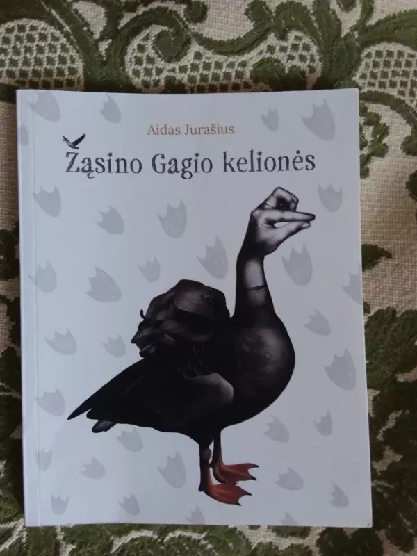 Žąsino Gagio kelionės - Aidas Jurašius, knyga 2