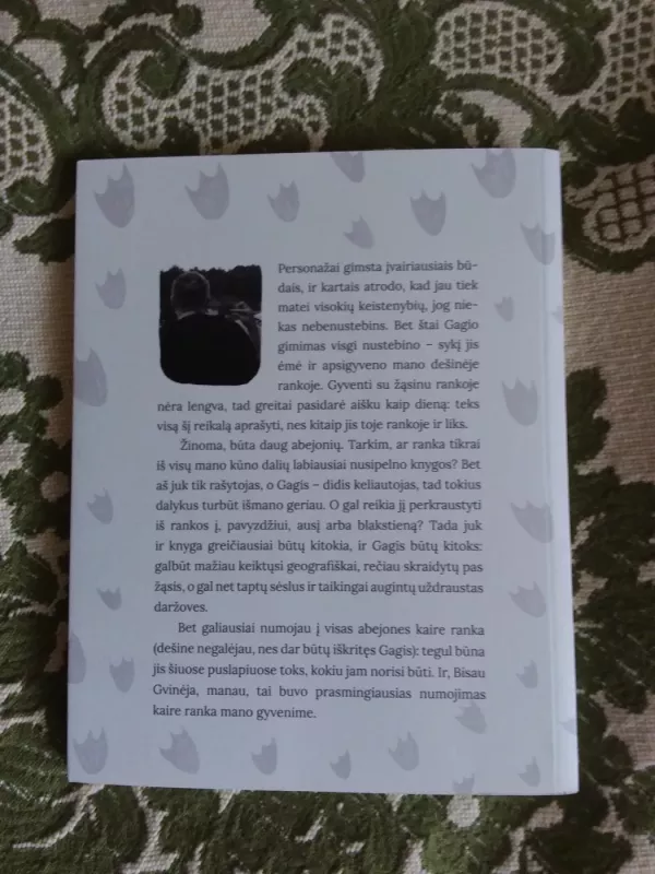 Žąsino Gagio kelionės - Aidas Jurašius, knyga 3