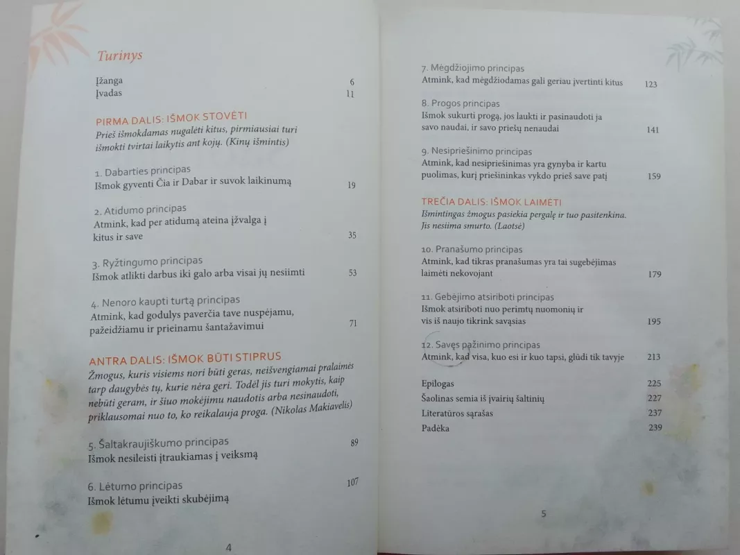 Šaolinas. Laimėk nekovodamas - Autorių Kolektyvas, knyga 6