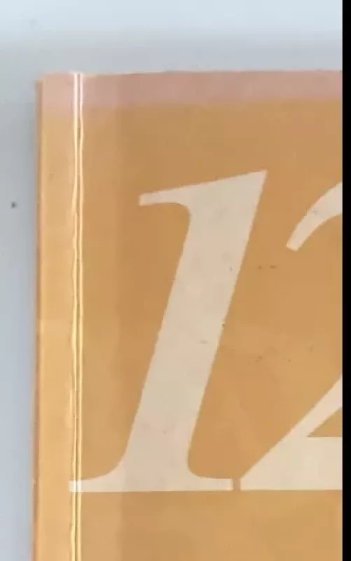 Lietuvių literatūros konspektai abiturientui: rašytojų kūrybos apibūdinimai, tekstai ir klausimai - R. Dilienė, ir kiti , knyga