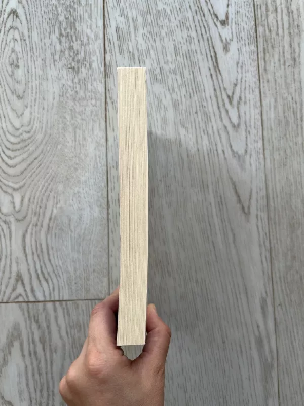 Vyrai ant mano sofos. Ko nežino jų moterys - Rensin David, knyga 4