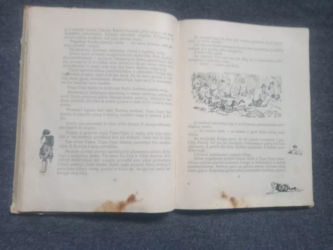 Mamutų medžiotojai - S. Pokrovskis, knyga 3