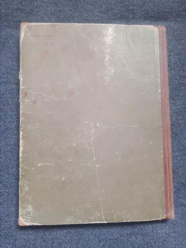 Mamutų medžiotojai - S. Pokrovskis, knyga 4