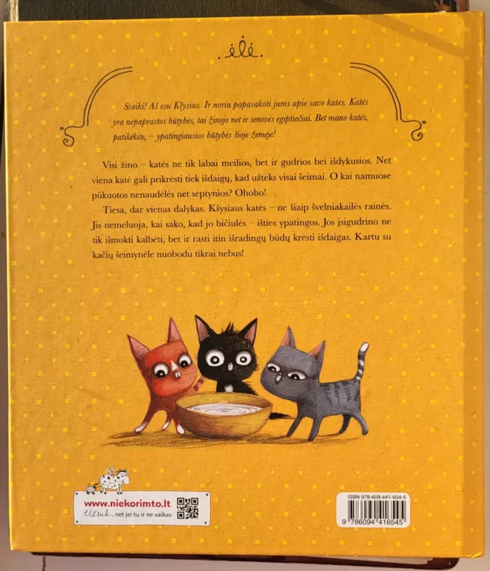 Kačių šeimynėlės smagios išdaigėlės - Agnieszka Stelmaszyk, knyga 3