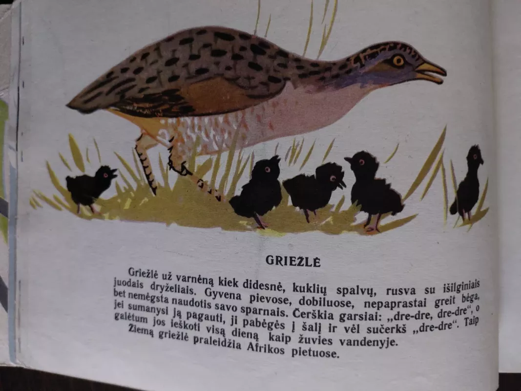 Ką paukšteliai gieda - G. Gučienė, knyga 3