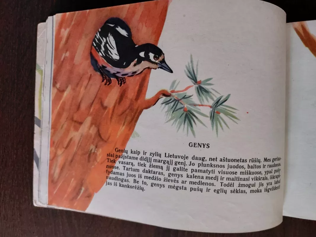Ką paukšteliai gieda - G. Gučienė, knyga 4