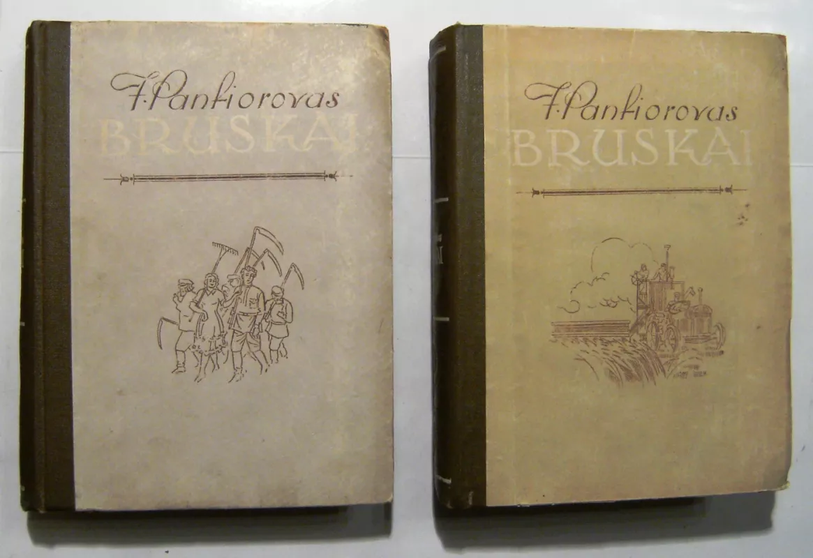 Bruskai (2tomai) - Fiodoras Panfiorovas, knyga 2