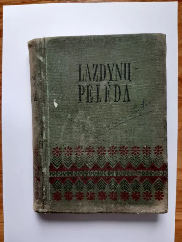 Raštai. Šeštas tomas - Pelėda Lazdynų, knyga 2