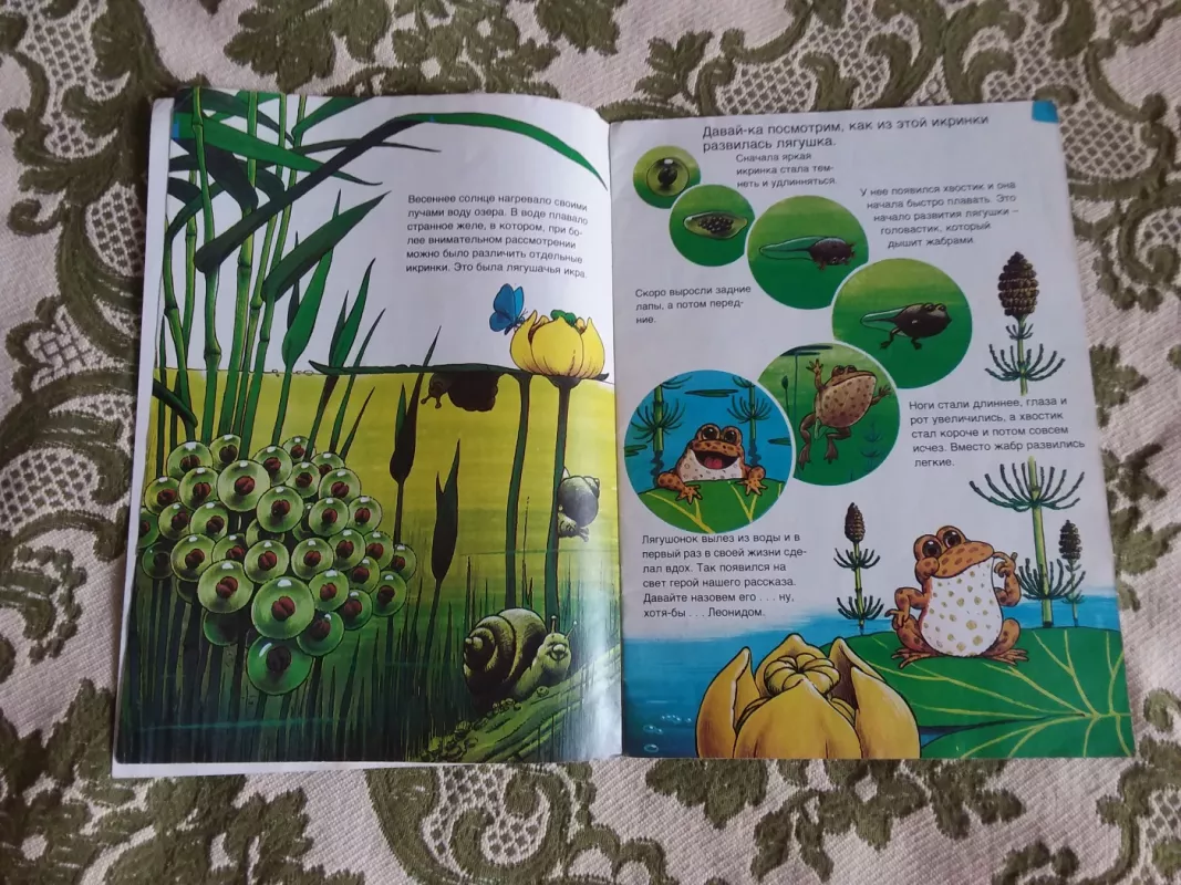 Лягушка-попрыгушка - Лаукканен Уско, knyga 3