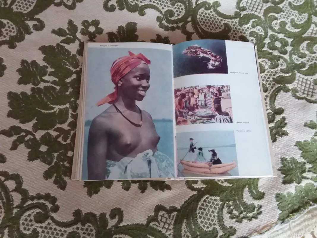 Kelionių knyga - Justas Paleckis, knyga 5