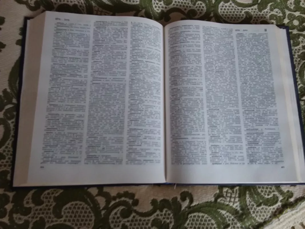 Русско-Hемецкий словарь/Russisch-Deutsches worterbuch - Autorių Kolektyvas, knyga 3