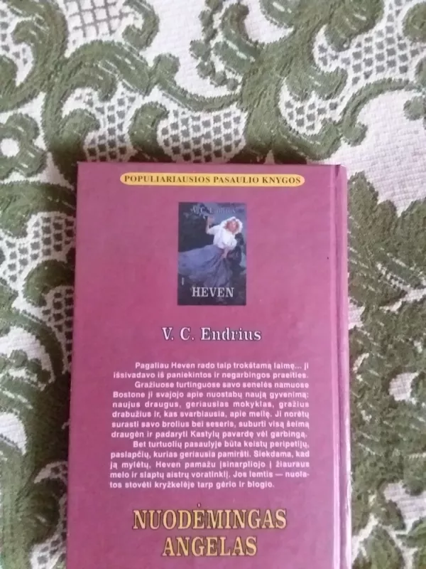 Nuodėmingas angelas - V. C. Endrius, knyga 3