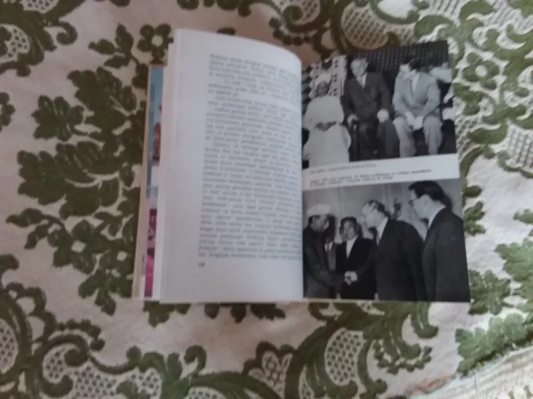 Kelionių knyga - Justas Paleckis, knyga 4