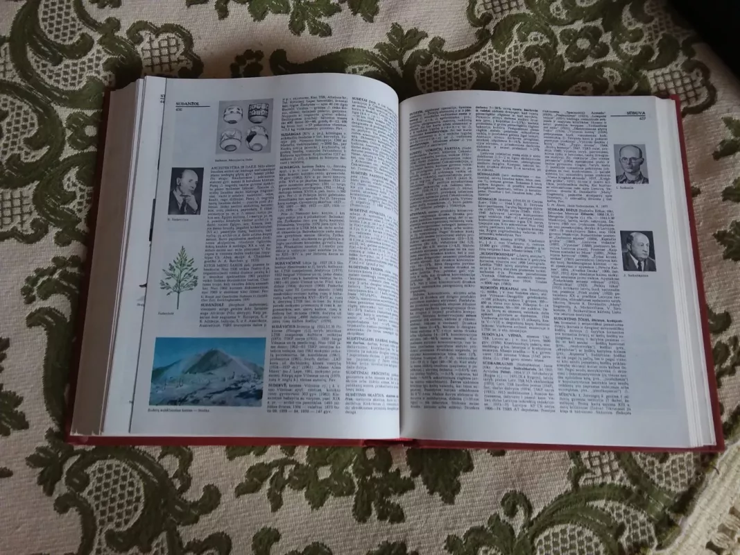 Lietuviškoji tarybinė enciklopedija (10 tomas) - Autorių Kolektyvas, knyga 4