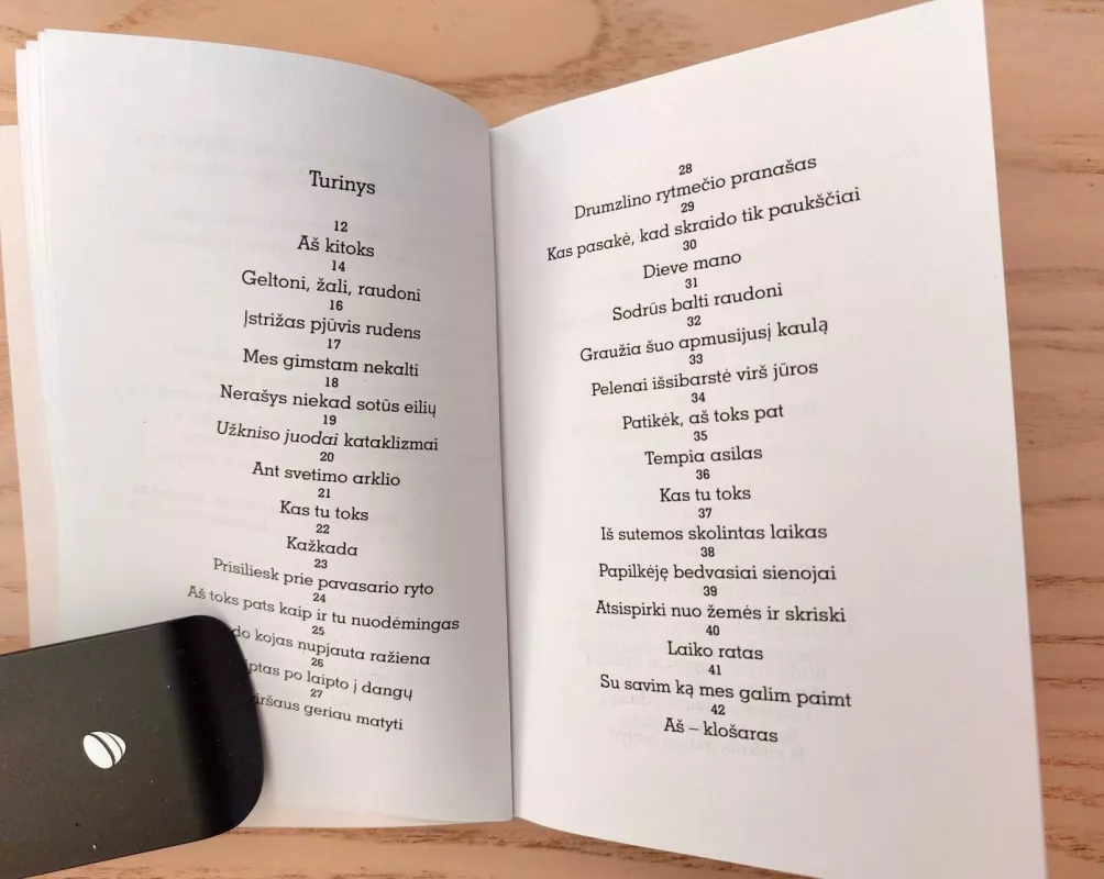 Kažkada - Gintautas Labanauskas, knyga 4