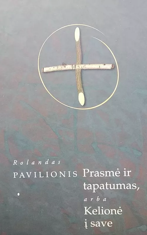 Prasmė ir tapatumas, arba kelionė į save - Rolandas Pavilionis, knyga