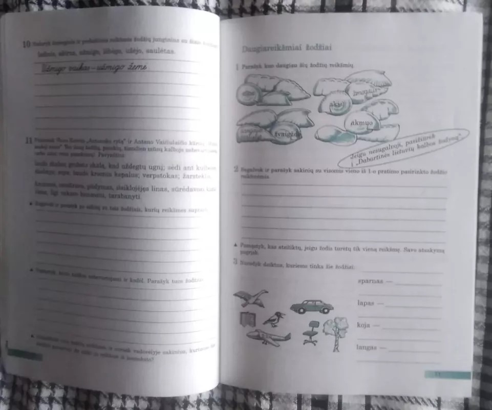 Lietuvių kalbos pratybų sąsiuvinis 2. 5 klasei - Vilija Salienė, knyga 3