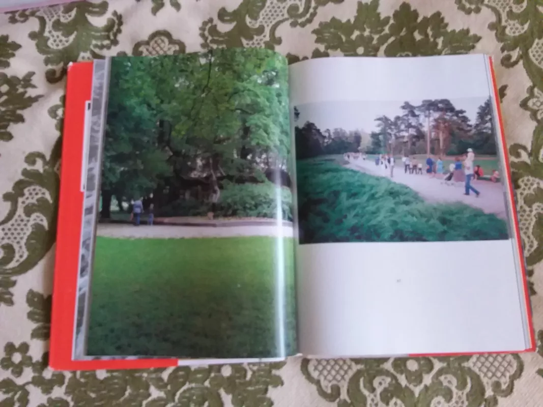 Palanga - Zinas Kazenas, knyga 4