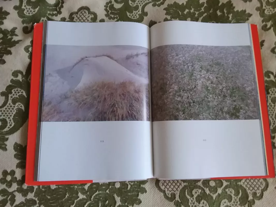 Palanga - Zinas Kazenas, knyga 6