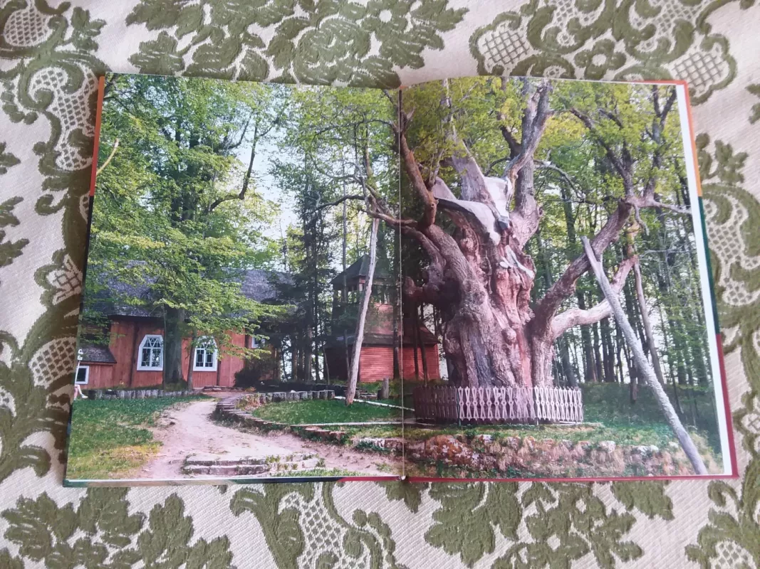 S liubovju Litva - Virgilijus Butkevičius, Jonas  Dovydėnas, Diana  Januševičiūtė, knyga 6