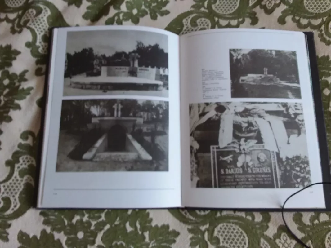 Darius ir Girėnas - Nijolė Dariūtė-Maštarienė, knyga 5