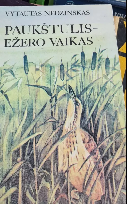 Paukštulis - ežero vaikas - Vytautas Nedzinskas, knyga