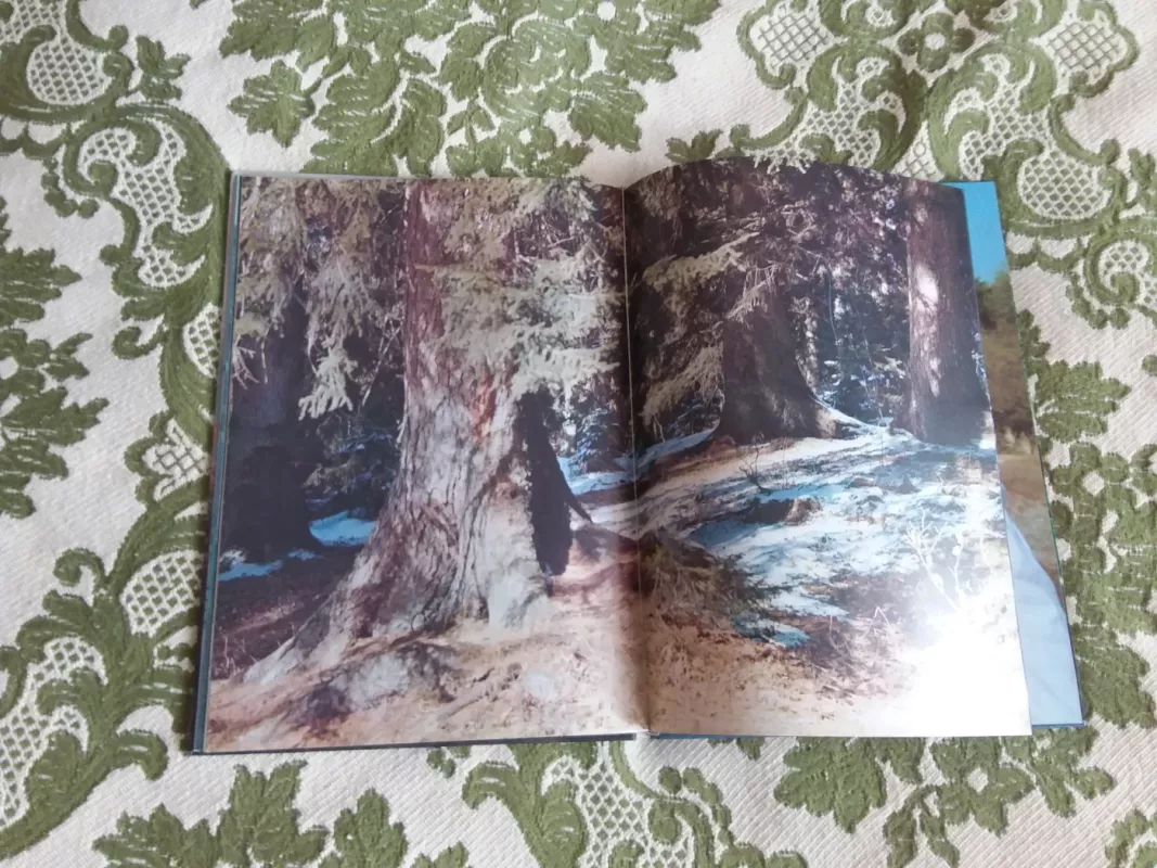 "Зачарованый край. Enchanred Land. Зачарованный край", - Р. Т. Папикьян, knyga 4